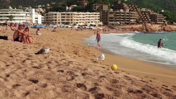 人们在Tossa Mara海滩晒日光浴 西班牙海滩和大海的全景 在海滨休息一下 在西班牙海岸放松 岩石和山脉 — 图库视频影像