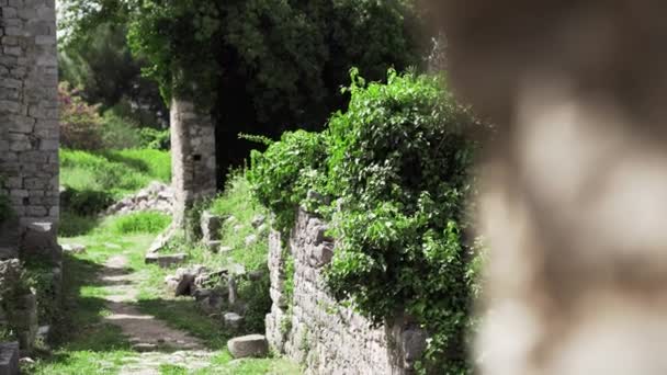 Stari Bar Montenegro Bukit Londsha Kaki Gunung Rumia Benteng Old — Stok Video