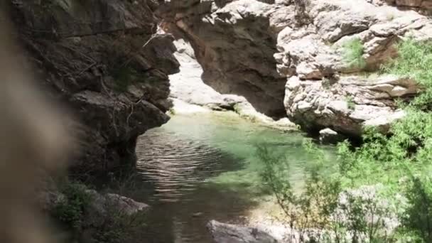 Agua Fluye Las Montañas Pequeño Estanque Bar Montenegro Agua Montaña — Vídeo de stock