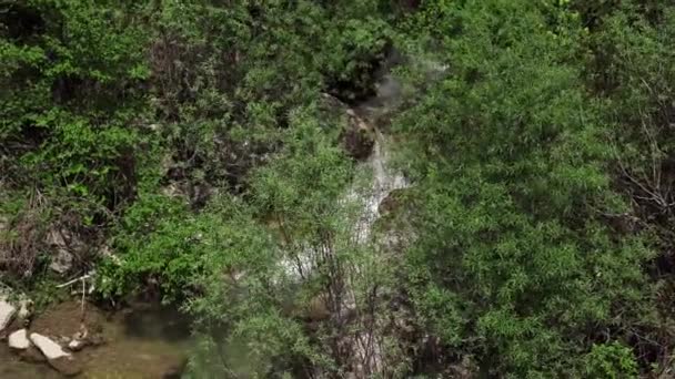 Lecho Río Montaña Montenegro Agua Limpia Fluye Las Montañas Arroyo — Vídeo de stock