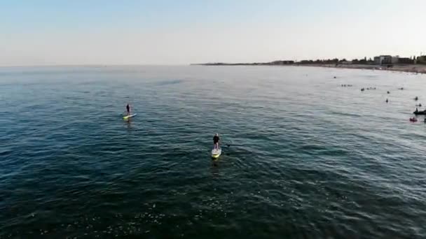 Blick Aus Einer Drohne Menschen Schwimmen Auf Sup Brettern Schwarzen — Stockvideo
