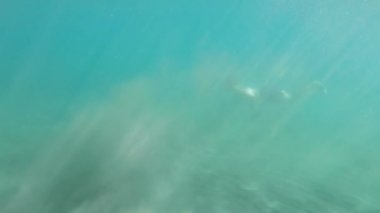 Genç bir adam İspanya 'da özel ekipmanları olmadan Akdeniz' de su altında yüzüyor. Adam suyun altına daldı. Kadavralarda serbest dalış. Nefes al-tut dalışı. Platja Grand ve Esportal plajı. 