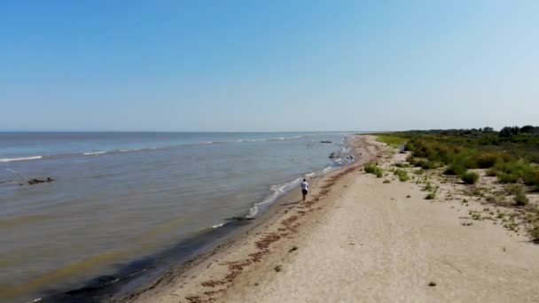ドローンからゼロキロに表示されます 若い男が海の近くの空のビーチを歩いている ドローンからの眺め ドナウ川は黒海に注ぐ Delukova Spit ドナウデルタ — ストック動画