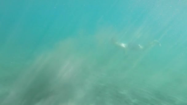 Ένας Νεαρός Κολυμπάει Κάτω Από Νερό Στη Μεσόγειο Θάλασσα Χωρίς — Αρχείο Βίντεο