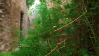 Saint-Paul-de-Vence 'in ortaçağ güçlendirilmiş köyü. Güney Fransa' da dar bir sokak. St. Paul de Vence 'de pencere ve kapılar dekoratif süslemelerle süslenmiş. Renkli eski cadde