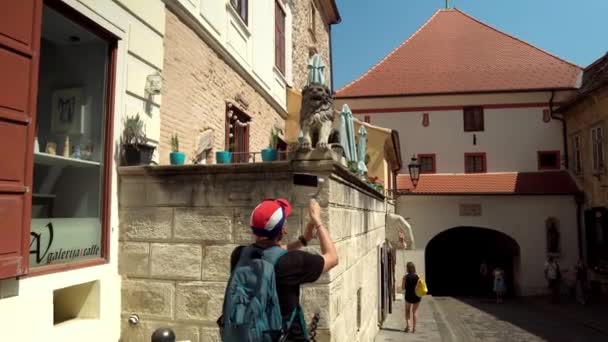 Stone Lion Front Stone Gate Lower Part City Zagreb Lion — Video