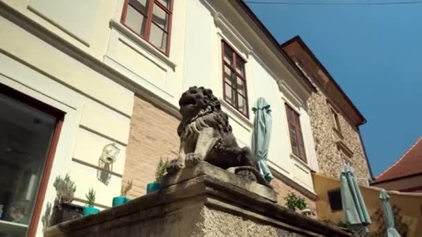 Stone Lion Front Stone Gate Lower Part City Zagreb Lion — Video