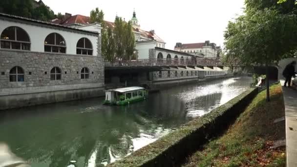 Ljubljana Daki Kasap Köprüsü Ljubljana Daki Ljubljana Nehri Üzerindeki Yaya — Stok video