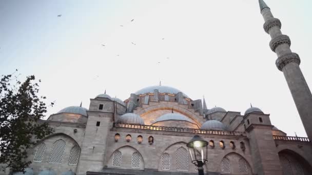 Suleymaniye Istanbul Suleymaniye Moskee Istanbul Het Oude Deel Van Stad — Stockvideo