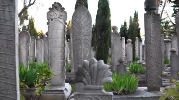 Suleymaniye Cemetery Istanbul Museum Gravestones Monuments Open Air Istanbul Tombstones — Stock Video