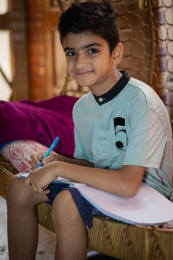 A young boy studying at home