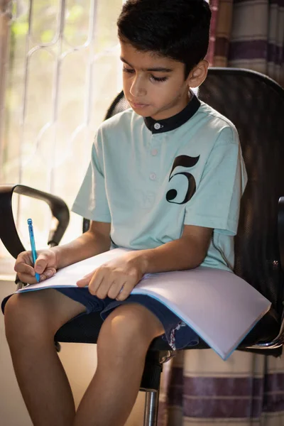 A young boy is writing and studying at home