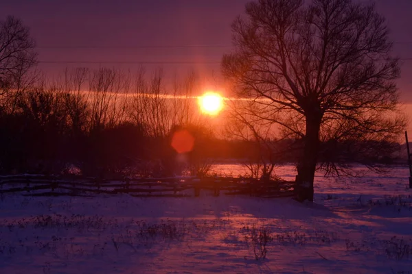 Paisagem Inverno Com Neve Árvores — Fotografia de Stock