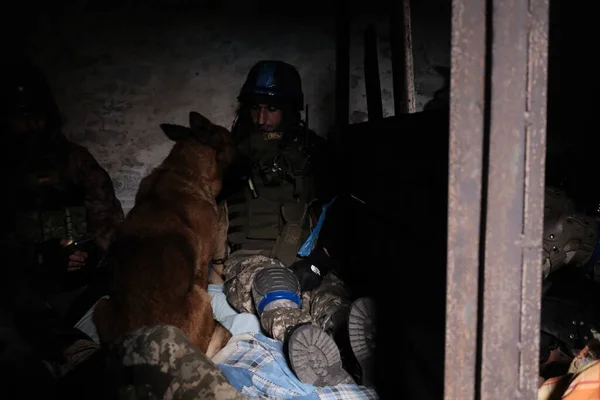 Lukyanivka Ukraine March 2022 Ukraian Territorial Defence Fighter Dog — 图库照片