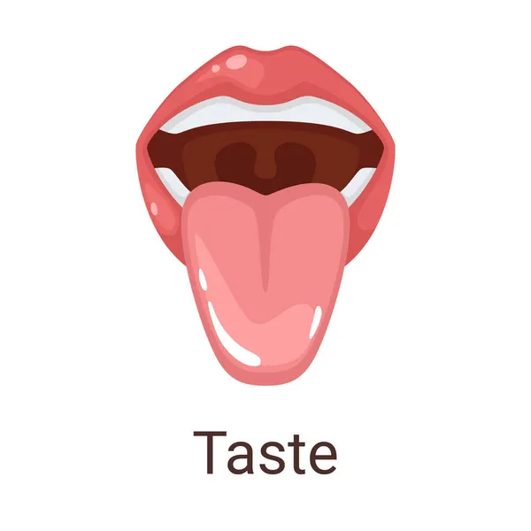 Vector illustration one of five senses - taste — Stock Vector