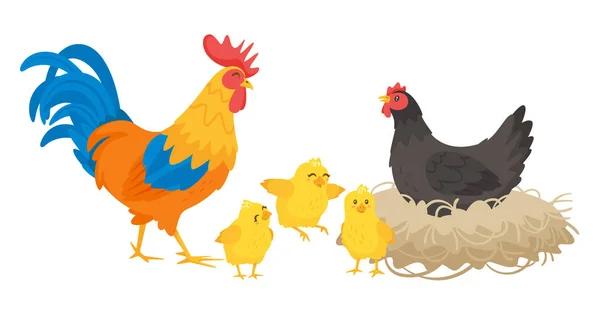 鶏の幸せな家族。ベクトルイラスト。白地 — ストックベクタ