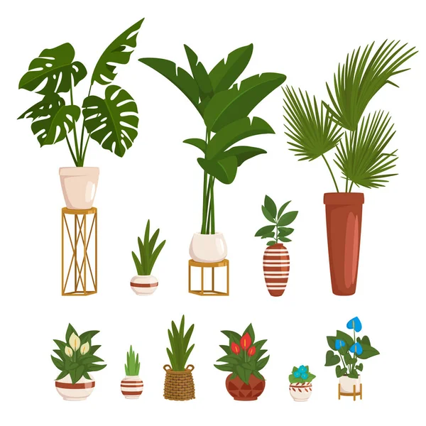 Conjunto de estilo de desenho animado vetorial de plantas em vaso — Vetor de Stock