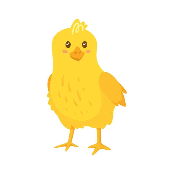 Cute happy yellow chick. Side view. Vector — Stock vektor