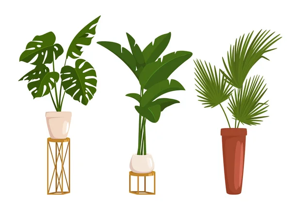 Conjunto de estilo de desenho animado vetorial de plantas em vaso — Vetor de Stock