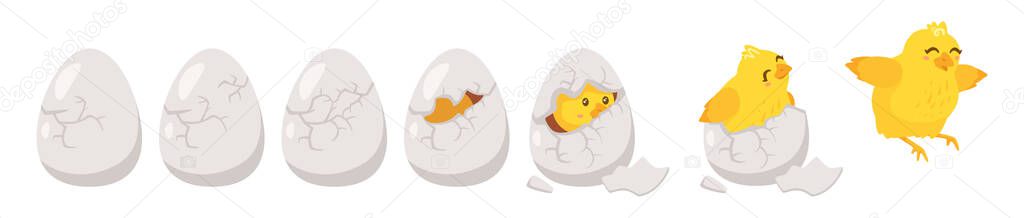 Hatching process. Vector illustration isolated on white