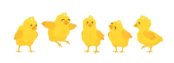 Heureux poussins jaunes fixés. Illustration vectorielle isolée — Image vectorielle