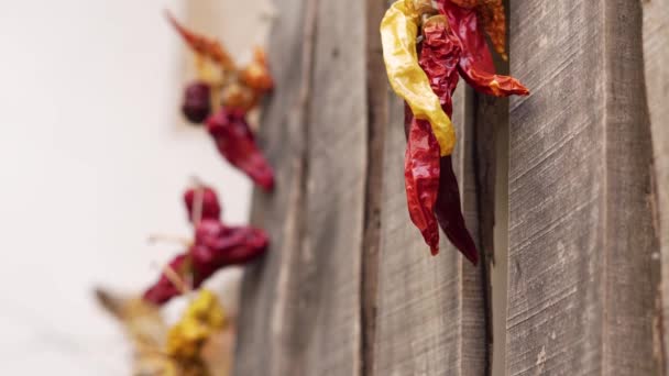 Dried chilli peppers hanging on the wooden wall — Stock Video