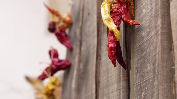 Chiles secos colgando de la pared de madera — Vídeos de Stock