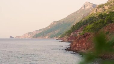 Dalgalı deniz koyunun zamanlaması.