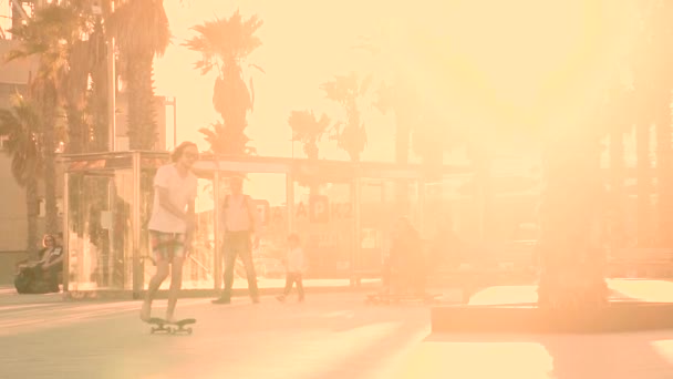 Skateboarder rides through palm trees at the sunset — Vídeos de Stock