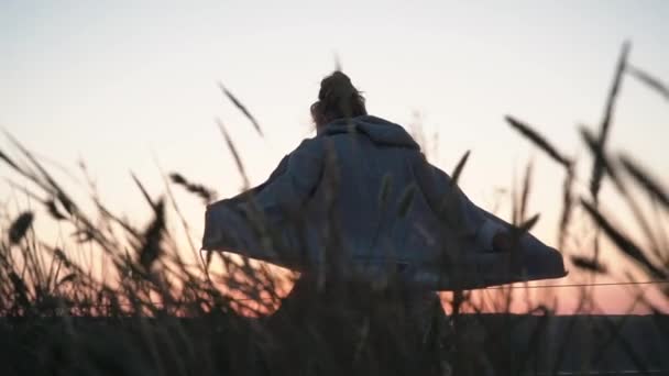 Девушка Булочкой Толстовке Любующаяся Заходящим Солнцем Пшеничном Поле Низкоугольный Силуэт — стоковое видео