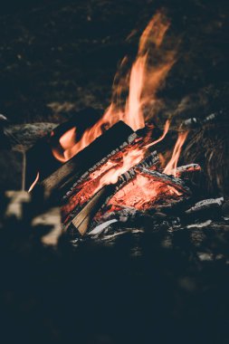 Şenlik ateşi odun kampını yakar, doğayı yakar.