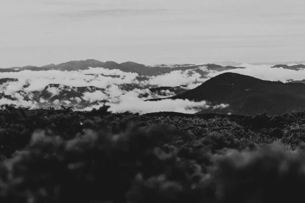 Fog Mountains Sky Nature Cloud Forest Tree Panorama Sunset — Stock Photo, Image