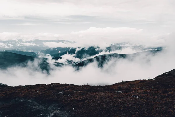 Fog Mountains Sky Nature Cloud Forest Tree Panorama Sunset — Stock Photo, Image