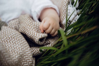 Bebek eli doğa çimeni