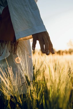 golden wheat field grass art hand