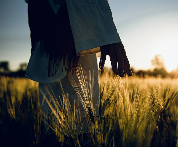 golden wheat field grass art hand