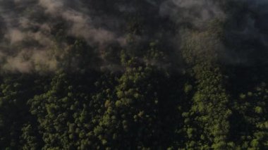 Dağların ve bulutların havadan görünüşü