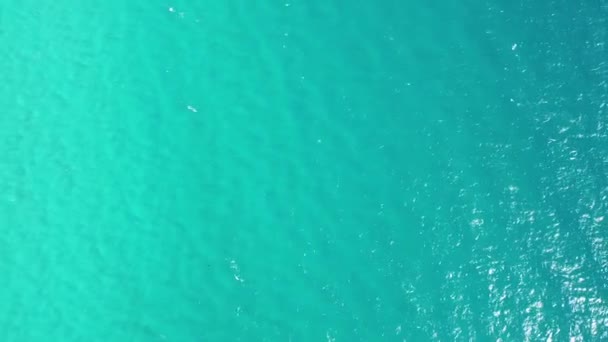 Vista Aérea Playa Australia — Vídeos de Stock