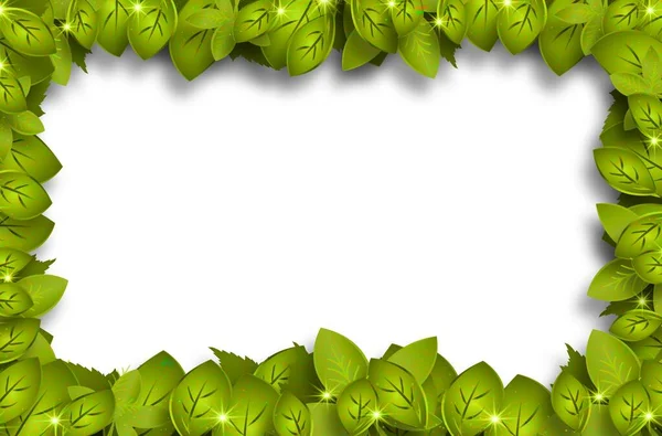 Leaf Frame Gellary White Background — Photo