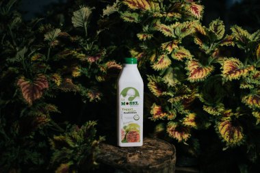 YOGURT FRUTADO GUAYABA BEBLICO CON ESTEVIA APTO PARA DIABETİKOS