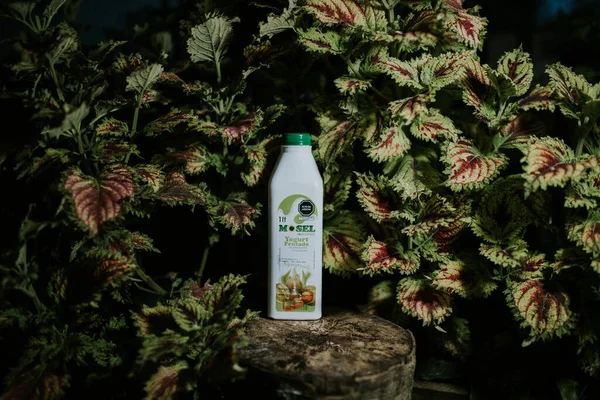 YOGURT DE AGUAYMANTO DE OXAPAMPA BEBLE