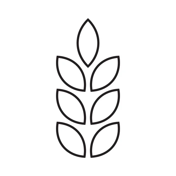 白色背景下简朴时髦现代风格的黑色矢量小麦线条艺术图标或标志 — 图库矢量图片