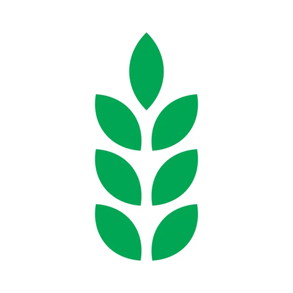 Eps10 Zelená Vektorová Pšenice Pevná Ikona Nebo Logo Jednoduchém Plochém — Stockový vektor