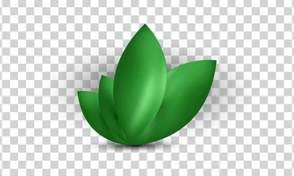 Unique Creative Minimalism Green Leaf Icon Isolated Transparant Background Trendy — Vector de stock