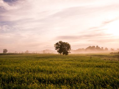 Wichian Buri Bölgesi, Phetchabun Eyaleti 21 Ekim 2018