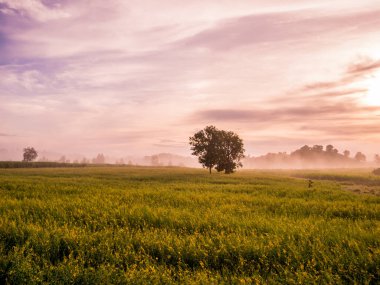Wichian Buri Bölgesi, Phetchabun Eyaleti 21 Ekim 2018