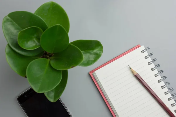 Kalem, defter ve cep telefonu Beyaz bir masaya koyun