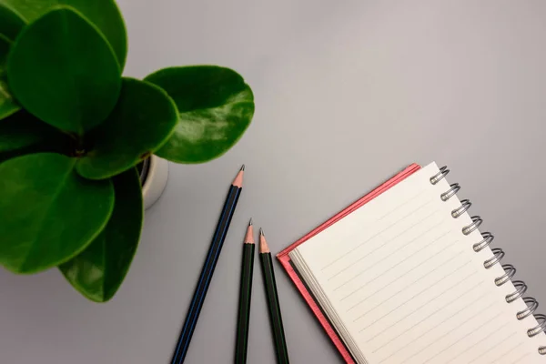 Süslü ağacın yanındaki masaya yerleştirilmiş kırmızı bir not..