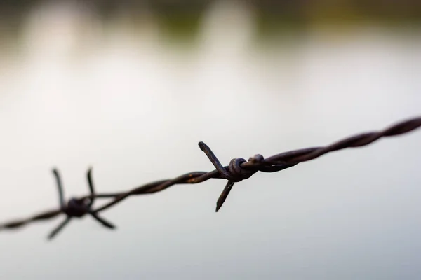 Close Old Barbed Wire Fence — Stock Photo, Image