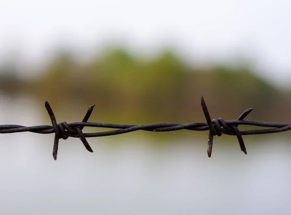 Close Old Barbed Wire Fence — Stock Photo, Image